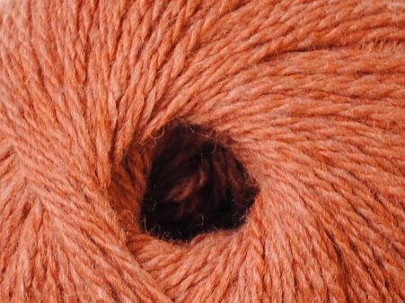 ALAMOR - immagine 10